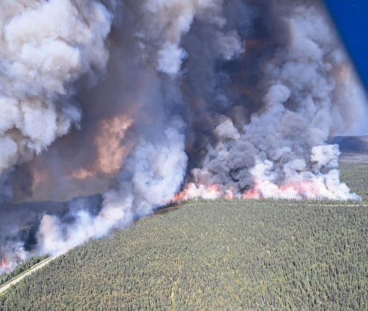 Can Air Purifiers Help with Wildfire Smoke?