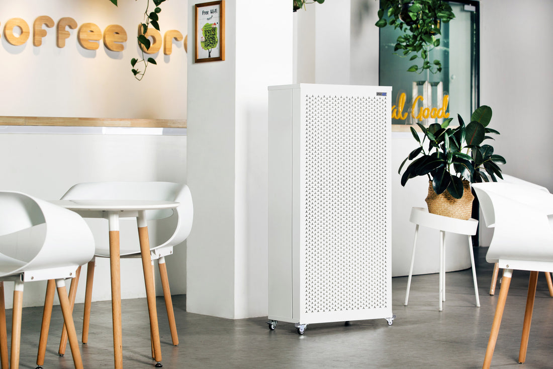 Elevate Your Office and Classroom Air Quality with the Smart Air Blast - MKII