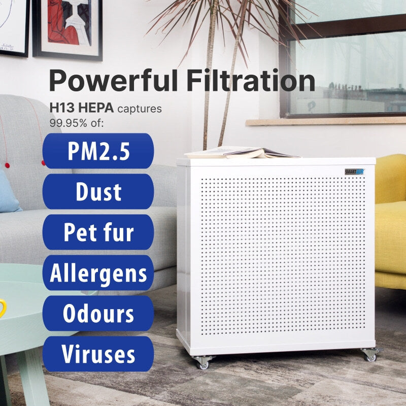 Blast Mini Air Purifier (Mk II)