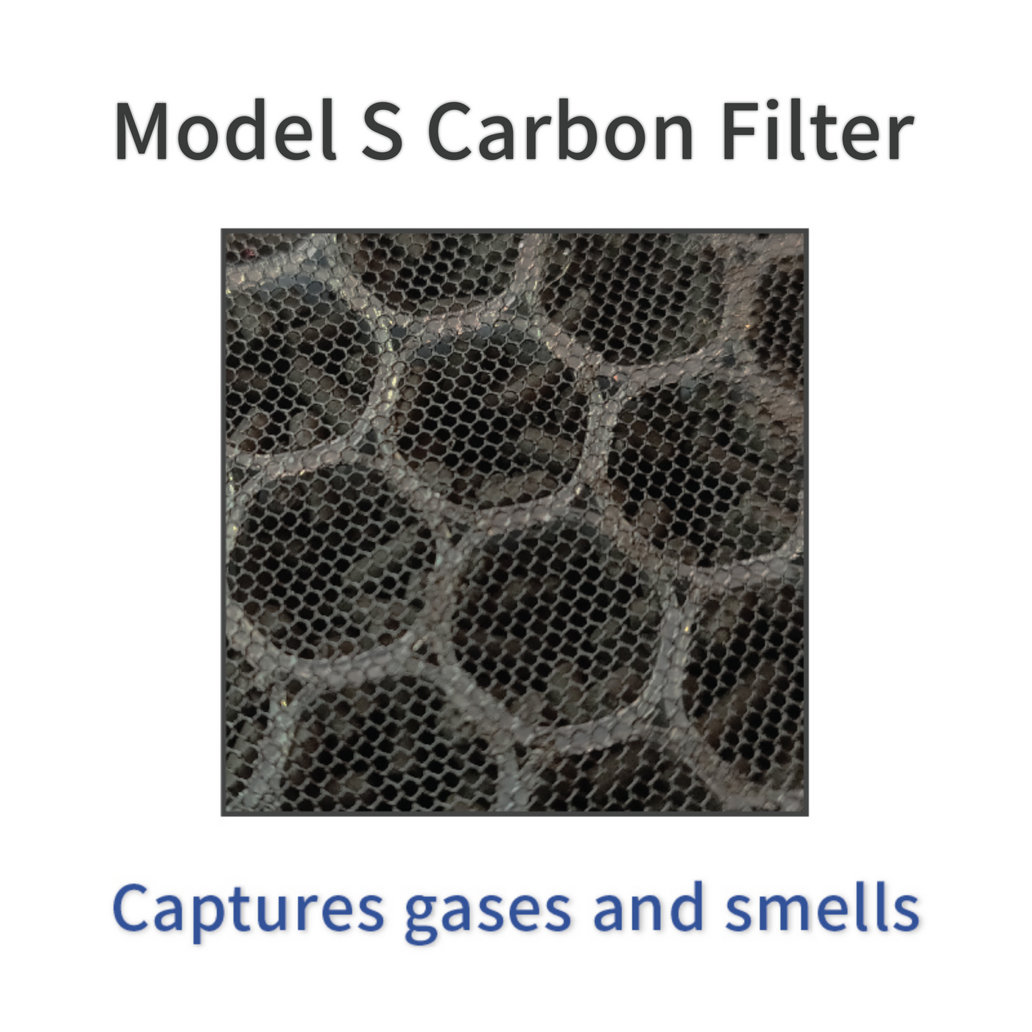 The S Carbon Filter