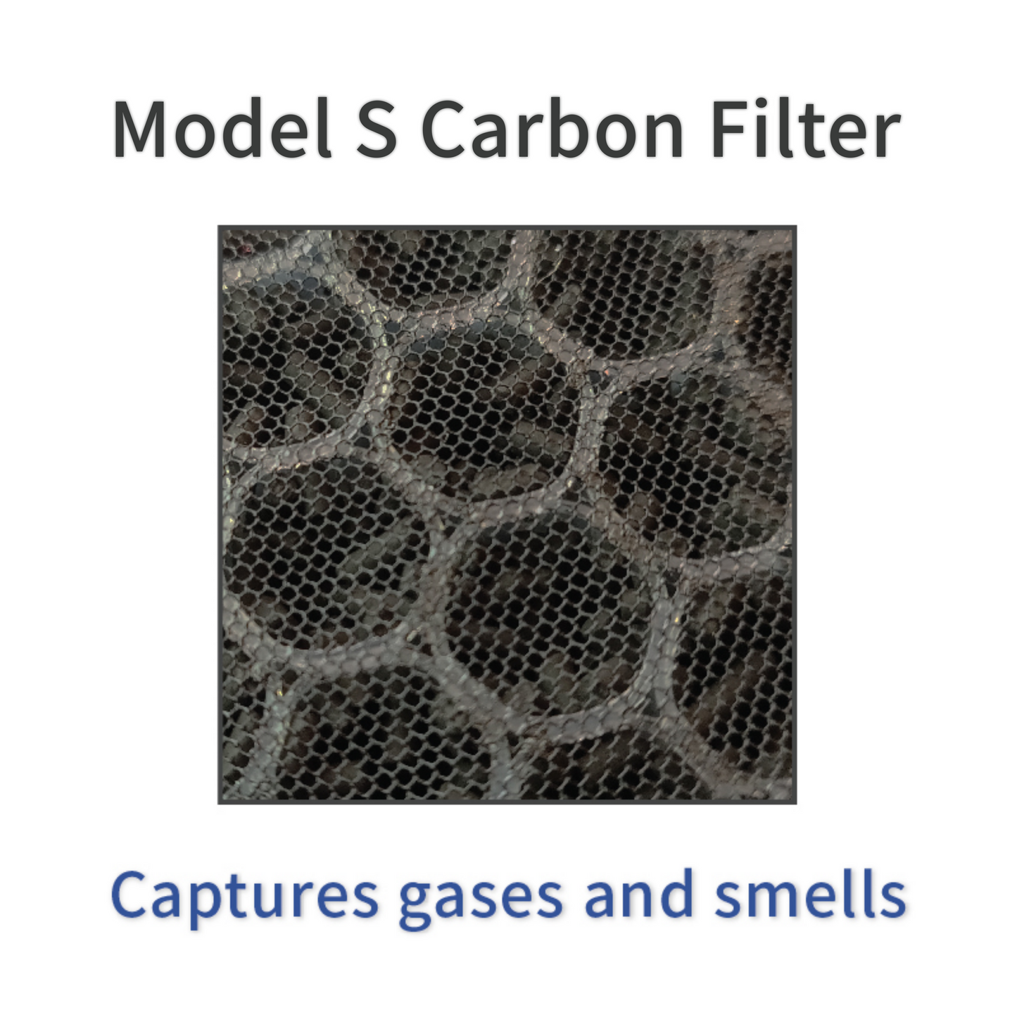 S Filter Combo – HEPA + Carbon